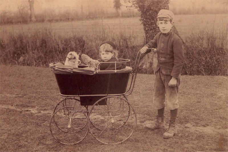 Annie Copping in the pram with her brother Albert